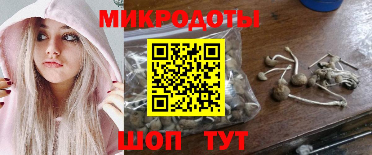 Псилоцибиновые грибы GOLDEN TEACHER Йошкар-Ола