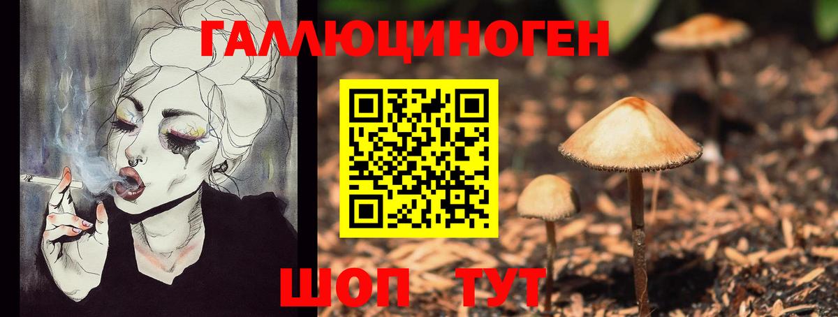 Йошкар-Ола  Галлюциногенные грибы Psilocybe  Вход с VPN  Галлюциногенные грибы мухоморы 